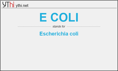 What does E COLI mean? What is the full form of E COLI?